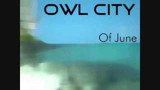 Panda Bear - Owl City + Lyrics