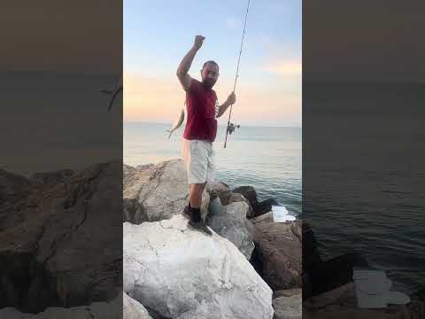 Villa del Carmen fishing club día de cojinúa 7/feb/2026 Ponce PR