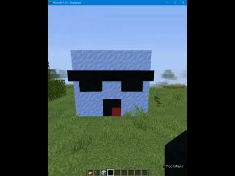 I made my face with Ice in Minecraft (Mr. Icy)