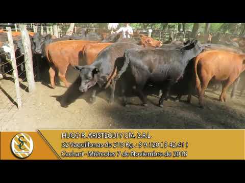 07-11-18 Venta de Hembras - Hugo R. Aristegui y Cía. S.R.L. - Cacharí