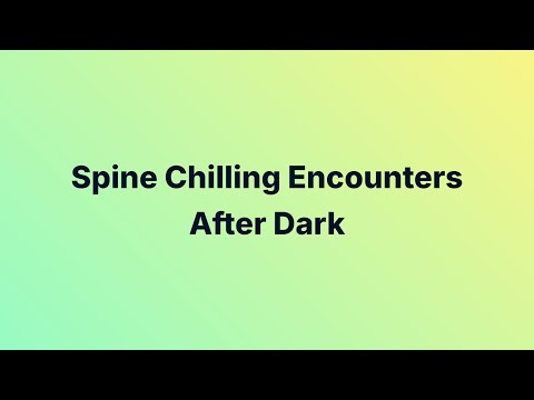 Spine Chilling Encounters After Dark