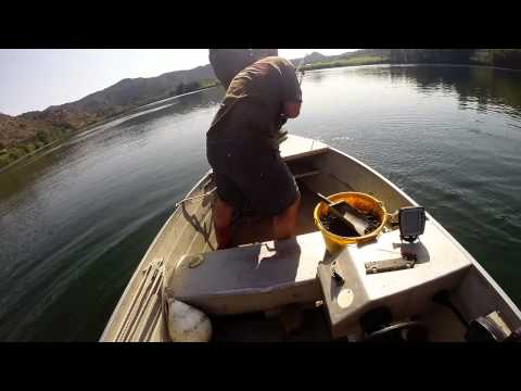 Ebro fishing dreams 14 06 2014