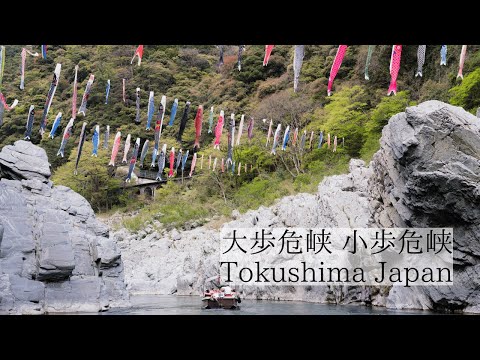 1億年の時が刻んだ奇跡の渓谷美/大歩危峡・小歩危峡　Oboke and Koboke Gorges