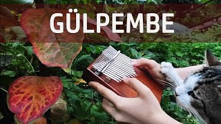 Barış Manço - Gülpembe ( Kalimba )