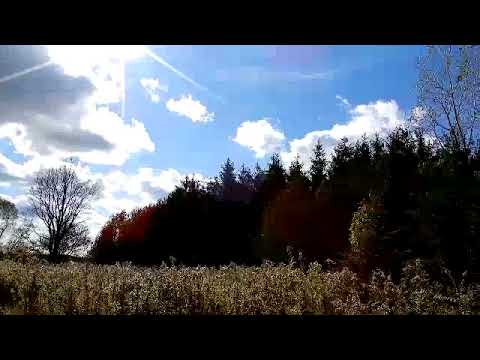 [PANORAMA] - Farm House, Bright Sun with sun rays white clouds forest trees and lawn