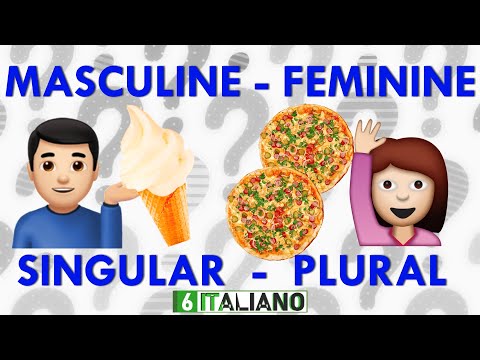 How to understand masculine/feminine, & singular/plural in ITALIAN LANGUAGE