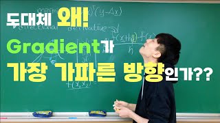 [딥러닝] 1-3강. 이건 진짜 꼭 봐주세요..!! (그라디언트와 방향도함수)