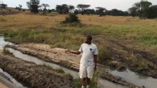 Tourists bogged in Serengeti - pt1