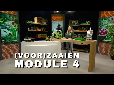 , title : 'Basiscursus moestuin - Module 4 - Zaaien'