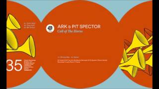 Ark & Pit Spector - Wrong Way / Original Mix [Thema]