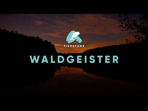 FISHSTONE's Waldgeister - Mit der Steinmontage auf Karpfen