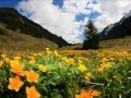 Schubert - Symphony in C Major (Grand Duo, D. 812)  III. Scherzo: Allegro vivace
