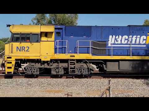 Pacific National & The  Ghan Intermodal #railway #trainspotting #railfanning #trainspotter #railfans