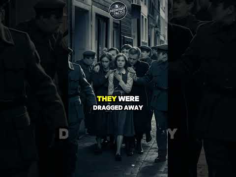 The Discovery of Anne Frank The Fateful Day That Changed History