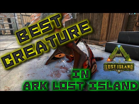 All You Need to Know: Sinomacrops