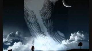 She Wants Revenge   Take the world