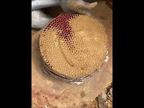 chakri making process  #shortvideo #factory