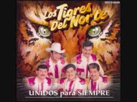 download lagu mp3 mp4 El Reportero, download mp3 El Reportero free download, download mp3 El Reportero