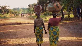 2018 - Development of ScanSpctrum