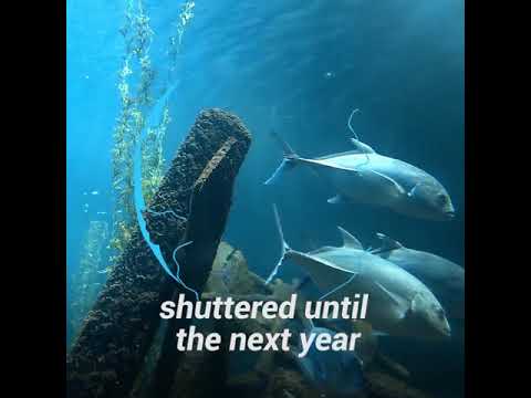 How the First Transatlantic Cable was Laid