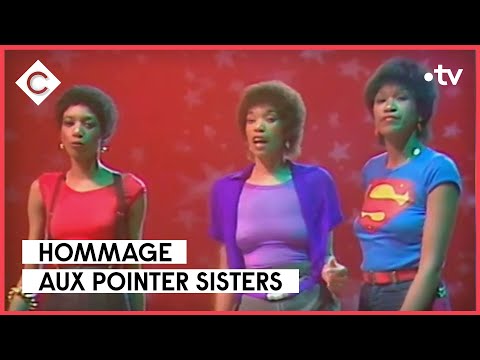 I’m so attristed - L’Oeil de Pierre Lescure - C à Vous - 03/01/2023