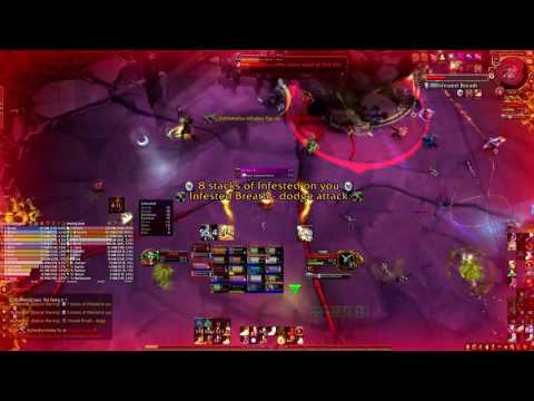 Orgrimmars Cowboys vs Nythendra Mythic (Holy Pala PoV)