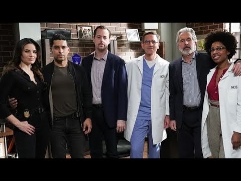 Good Bye Ducky 😔🕊️