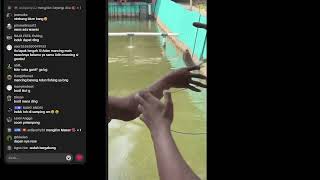 Download lagu Fishing Mania mp3 Download lagu Fishing Mania mp3