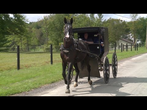 YouTube video about: Can you get a dui on a horse in minnesota?