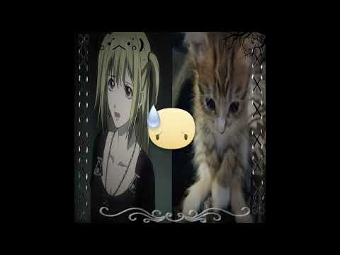 [FREE] xaviersobased x ksuuvi x jerk type beat "jax"