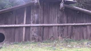 Generational Trauma on Indian Country