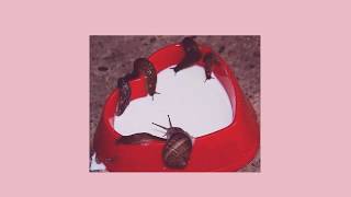 Cover art for I FELT NEW LOVE