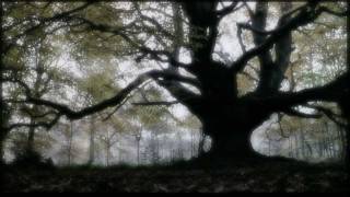 Faith and The Muse - The Unquiet Grave