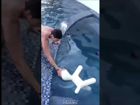 5sos with ketchup and no pants  #5sos #funny #comedy #funnyshorts #pool