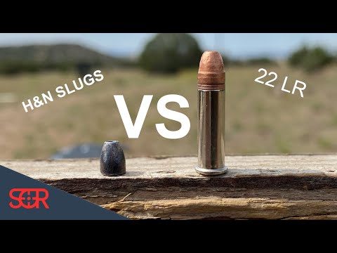 22 PCP Airgun VS 22LR -POWER DEMONSTRATION