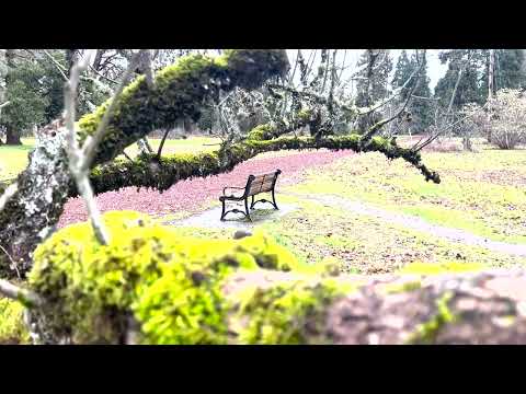 Repetition Project (ARTD379)