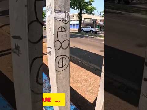 Maringá Paraná #maringápr #maringá #videoviral #shortsvideo #videoviral #cidade #shortvideo