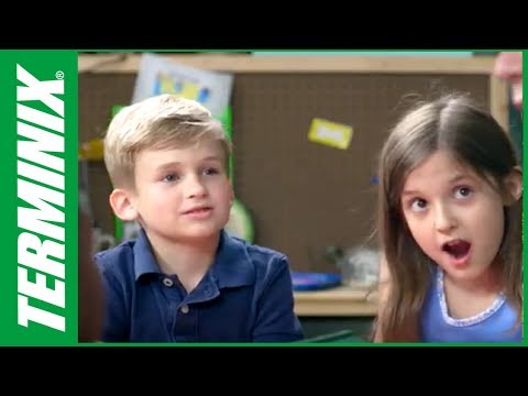 Kids and Bugs: Facts About Cockroaches