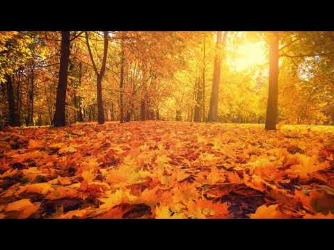 Autumn Days video