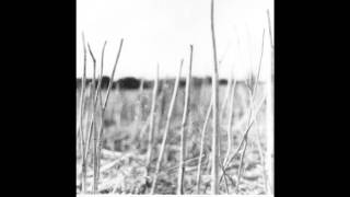 Recondite - Harbinger