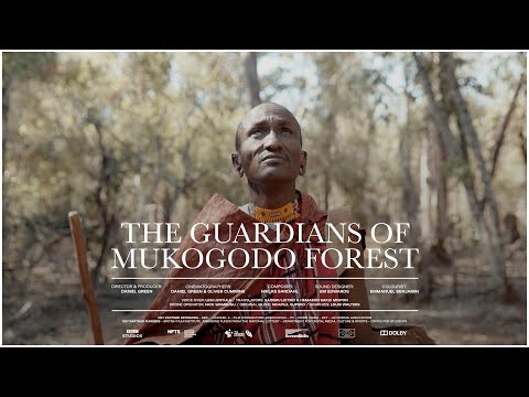 The Guardians of Mukogodo Forest | Official Documentary