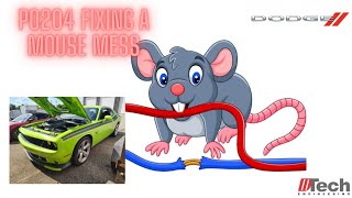 Dodge Challenger Charger 5.7 6.4 Misfire P0204 P0304 Diagnosis & Fix