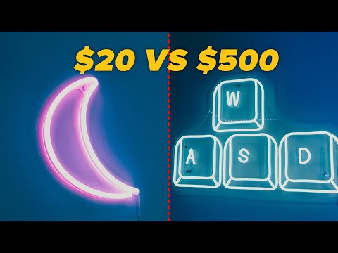 $20 VS $500 LED NEON SIGN