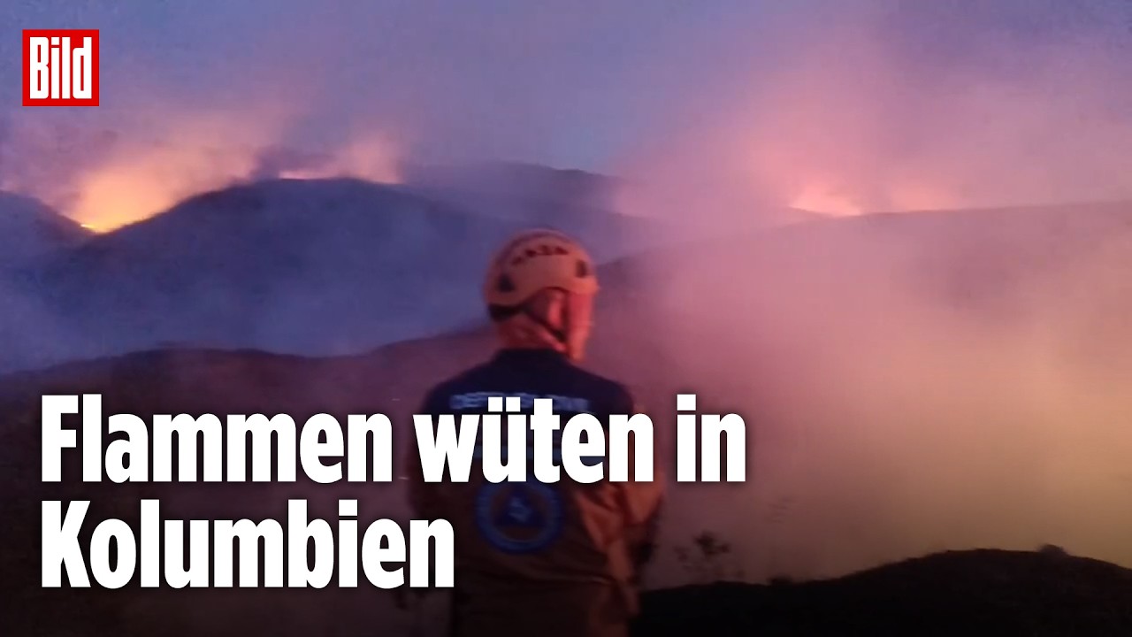 WALDBRÄNDE AUSSER KONTROLLE: Winde fachen Feuer neu an