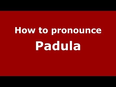 How to pronounce Padula