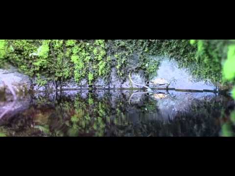 Yaan (ญาณ) - Water (น้ำ) // Official MV