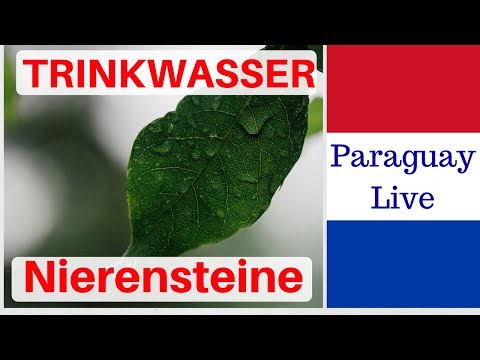 Propolis und Gelenkschmerzen Übungen für die Gelenke mit Riemen