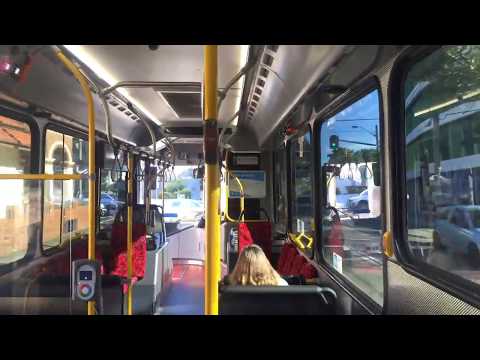 Sydney Buses 2905 ST - Scania K310UB (ZF Ecolife)