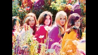 Honey Ltd. - Eli&#39;s Coming