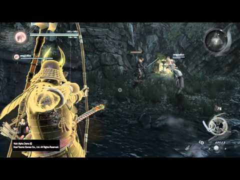 Nioh Alpha Demo Coop Glitch